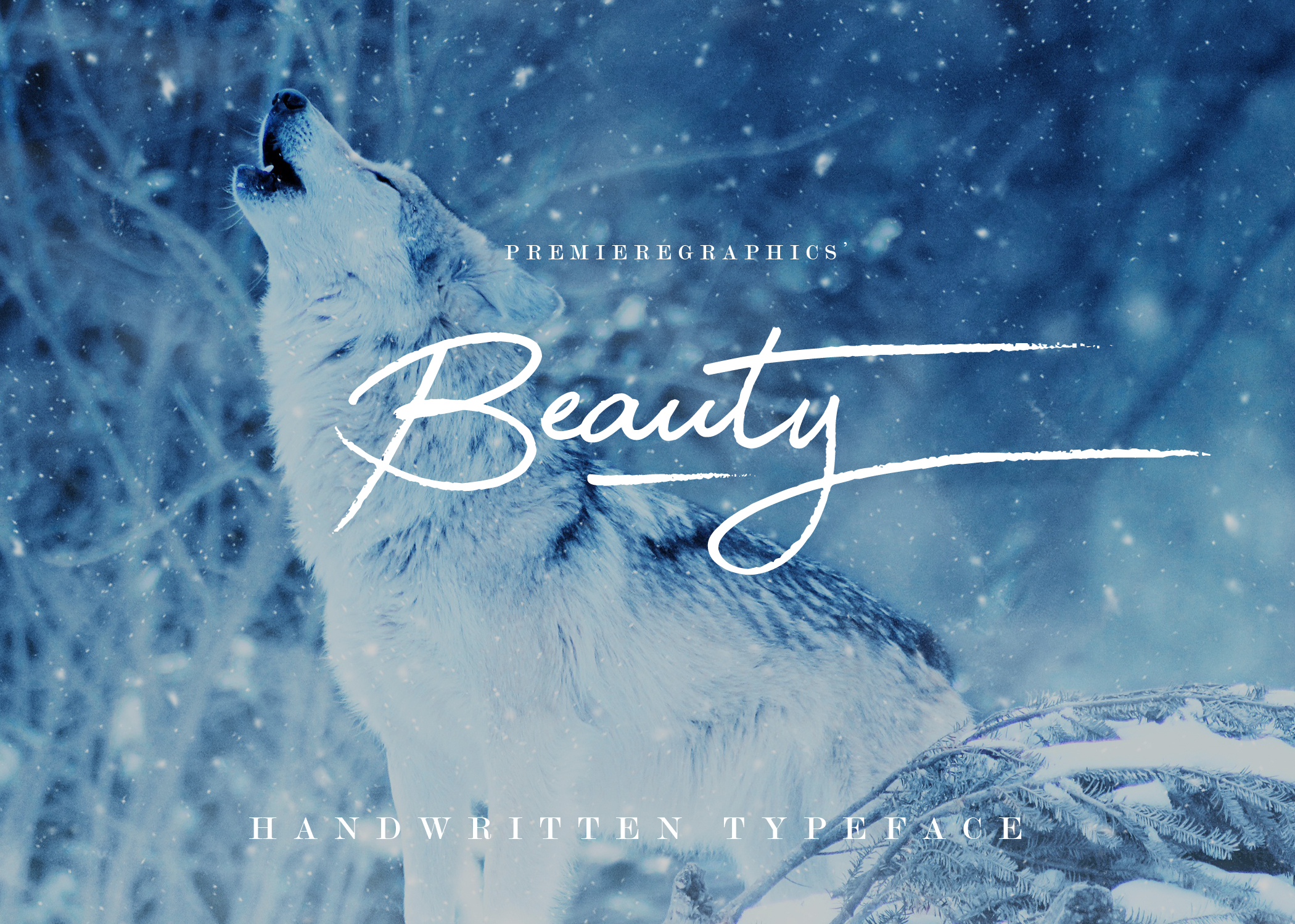 Beauty Font for Clearer Campaign Messaging