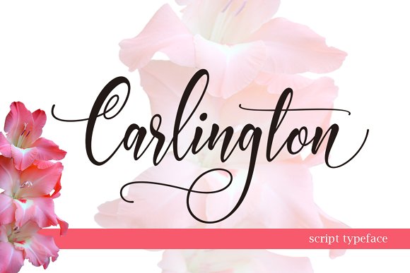 Carlington Script for Modern Web Typography