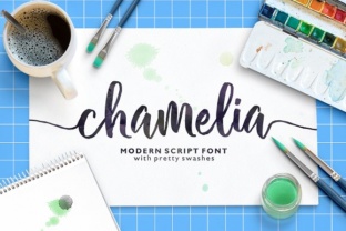 Chamelia: The Handwritten Font That Elevates Campaign Design