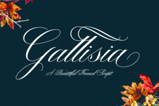 Gallisia Script Font for Elegant Branding and Digital Campaigns