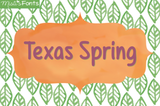 How Texas Spring Elevates Branding with a Clean Script Font