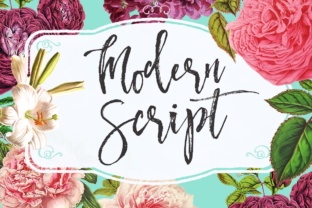 Modern Script for Elegant Editorial Design