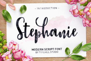 Stephanie Script for Modern Campaign Design