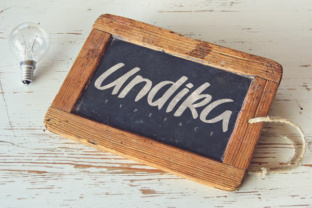Undika: A Playful Font for Editorial Design